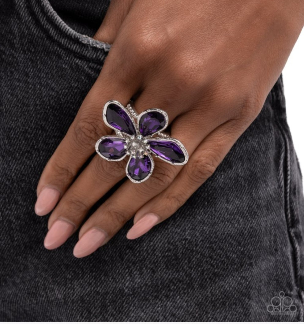 Daily Drama- Purple-Ring